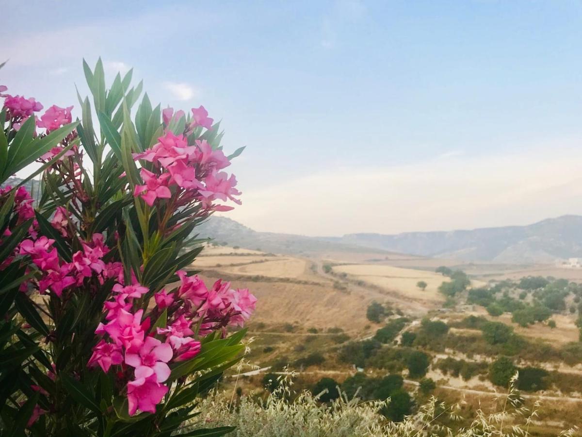 Panoramic Holidays Peyia Ngoại thất bức ảnh